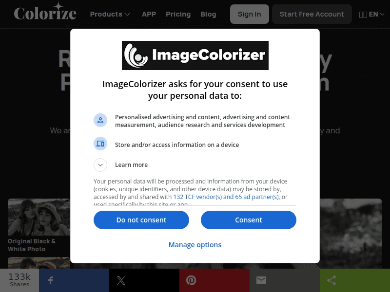 Image Colorizer