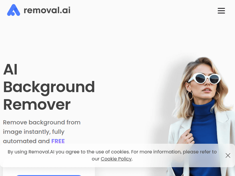 Removal.ai