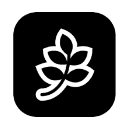 Fiction logo