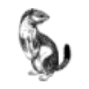 Ermine Ai logo